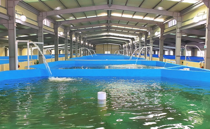 aqua-2
