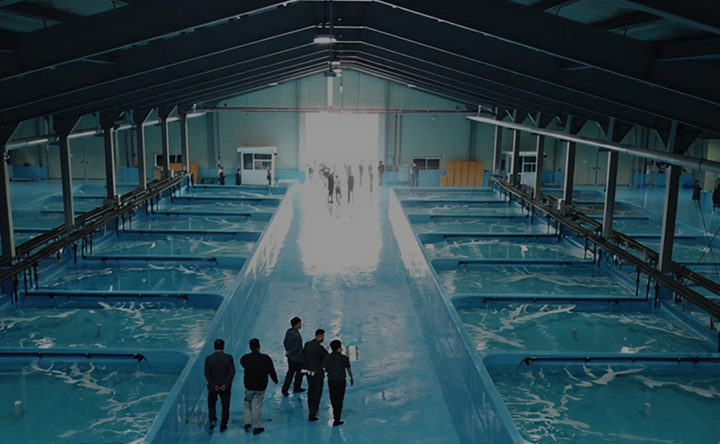 aqua-4